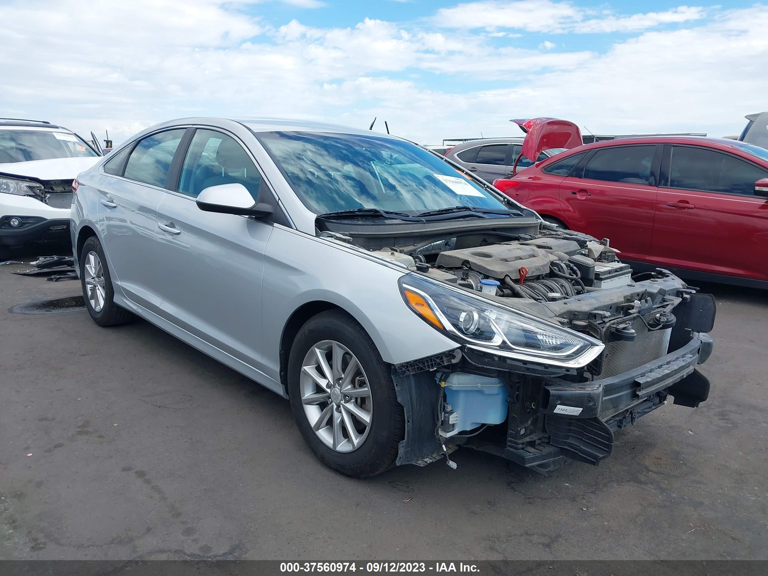 HYUNDAI SONATA 2019 5npe24af8kh768339