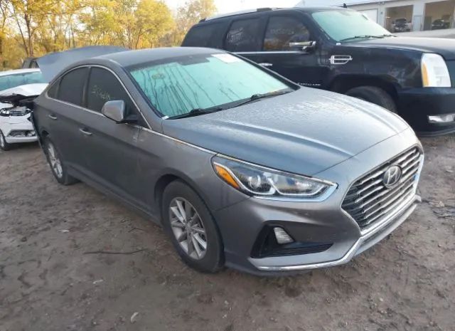 HYUNDAI SONATA 2019 5npe24af8kh772889