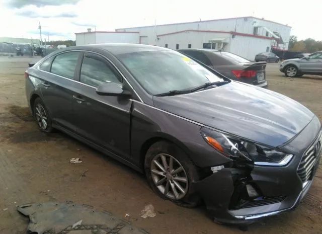 HYUNDAI SONATA 2019 5npe24af8kh775548