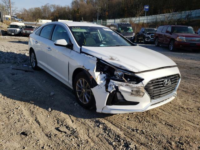 HYUNDAI SONATA SE 2019 5npe24af8kh775694