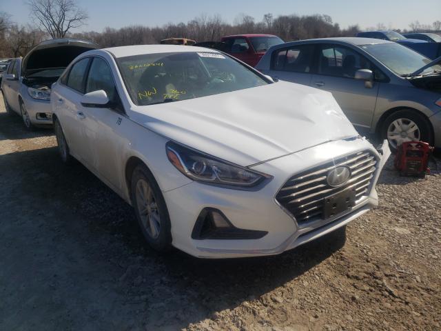 HYUNDAI SONATA SE 2019 5npe24af8kh776232