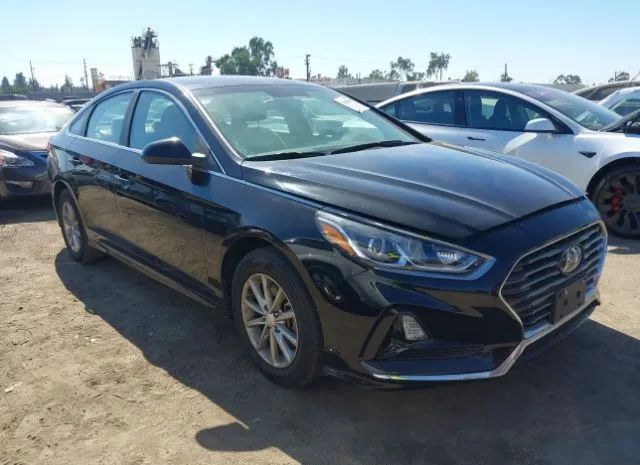 HYUNDAI SONATA 2019 5npe24af8kh776473