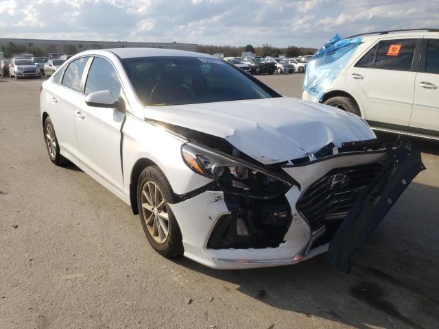 HYUNDAI SONATA SE 2019 5npe24af8kh778854