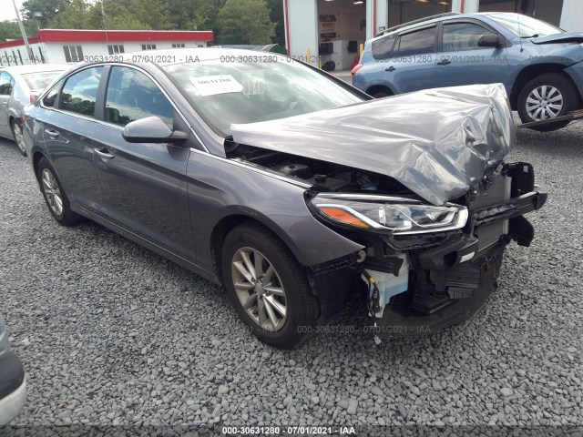 HYUNDAI SONATA 2019 5npe24af8kh779048