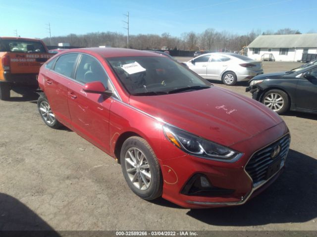 HYUNDAI SONATA 2019 5npe24af8kh780376