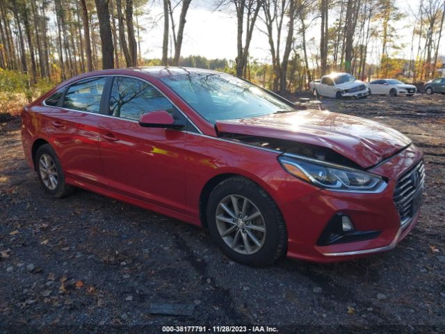 HYUNDAI SONATA 2019 5npe24af8kh782919