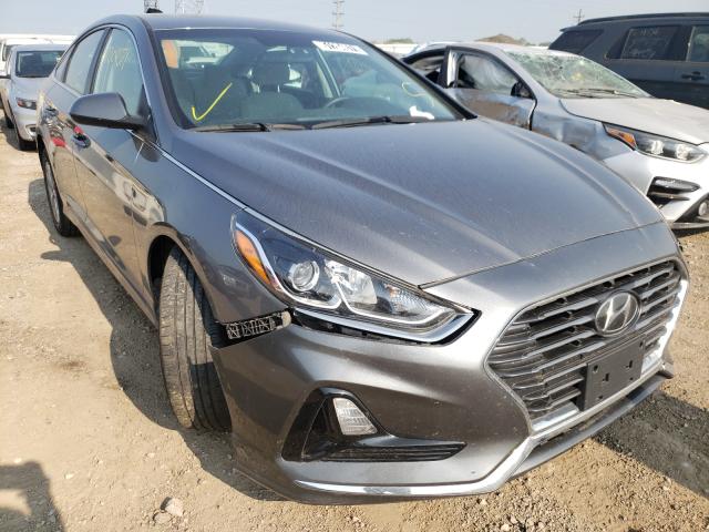 HYUNDAI SONATA SE 2019 5npe24af8kh784296