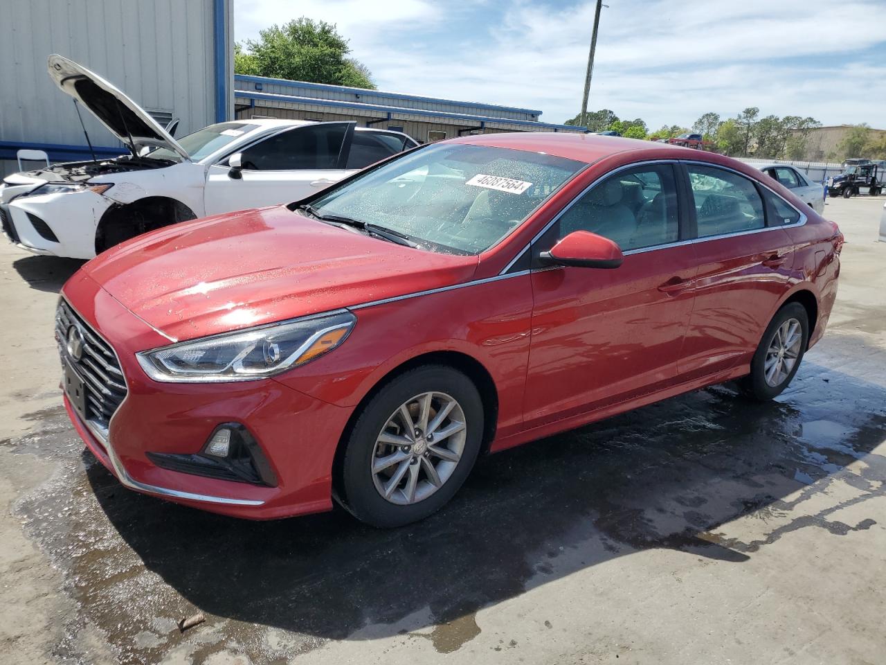 HYUNDAI SONATA 2019 5npe24af8kh784864