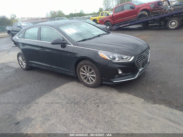 HYUNDAI SONATA 2019 5npe24af8kh785366