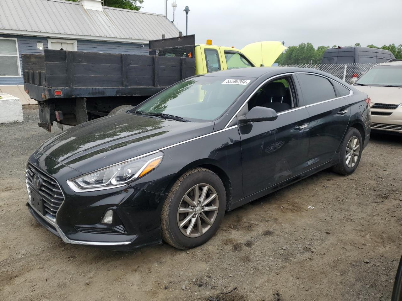 HYUNDAI SONATA 2019 5npe24af8kh786212