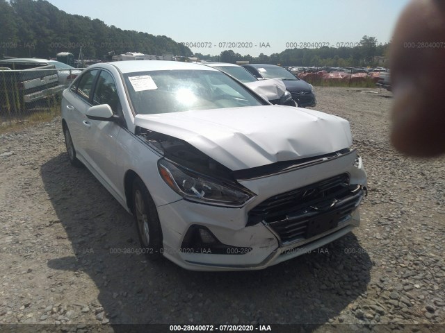 HYUNDAI SONATA 2019 5npe24af8kh788431