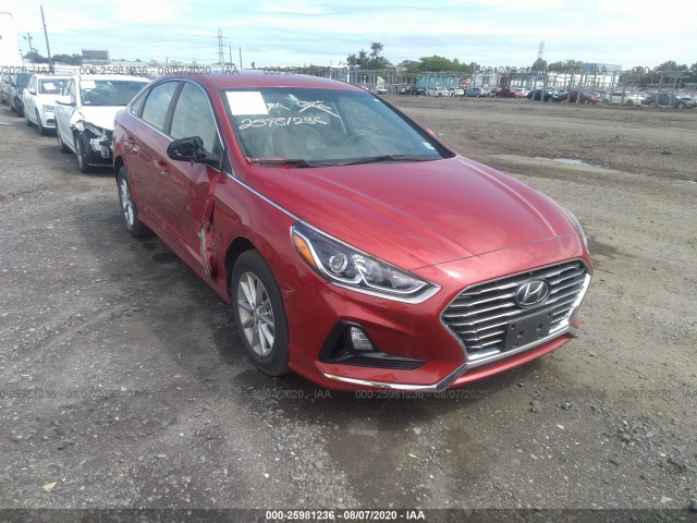 HYUNDAI SONATA 2019 5npe24af8kh789594