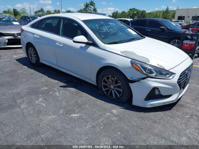 HYUNDAI SONATA 2019 5npe24af8kh790003