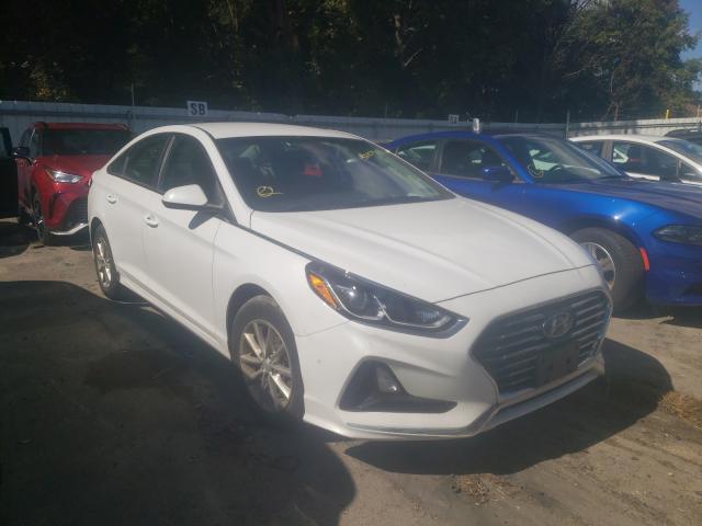 HYUNDAI SONATA SE 2019 5npe24af8kh791264