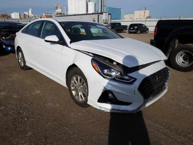 HYUNDAI SONATA SE 2019 5npe24af8kh792222