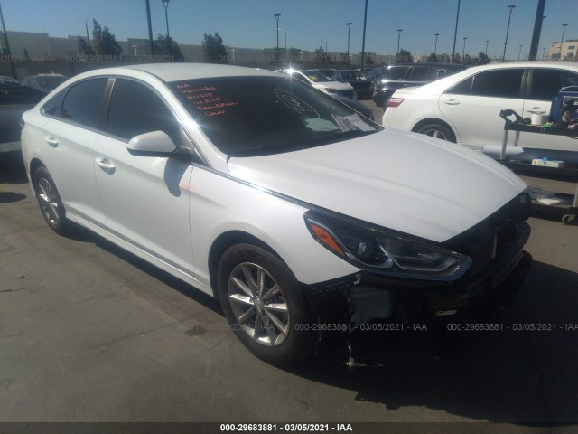 HYUNDAI SONATA 2019 5npe24af8kh794066