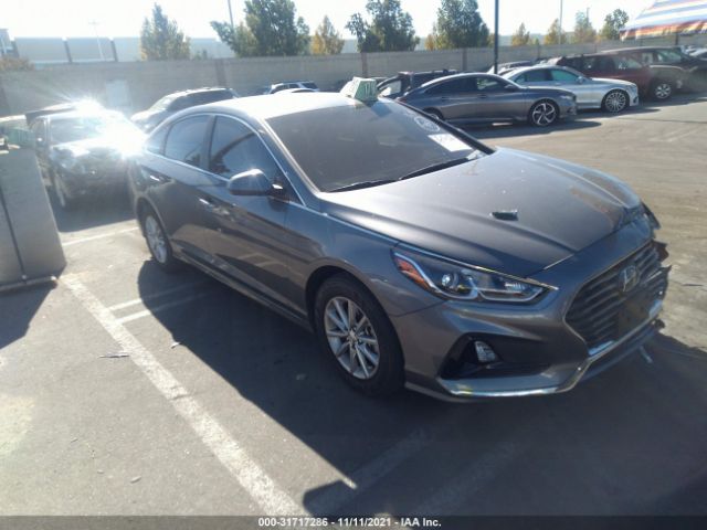 HYUNDAI SONATA 2019 5npe24af8kh794584