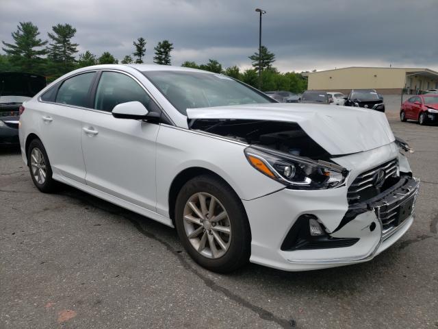 HYUNDAI SONATA SE 2019 5npe24af8kh795699