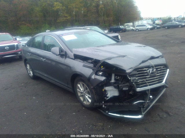 HYUNDAI SONATA 2019 5npe24af8kh795721