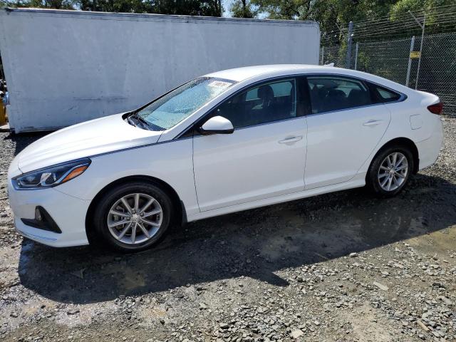 HYUNDAI SONATA SE 2019 5npe24af8kh797629