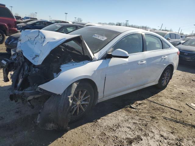 HYUNDAI SONATA 2019 5npe24af8kh798568