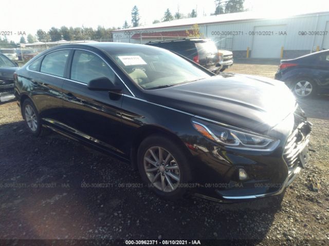 HYUNDAI SONATA 2019 5npe24af8kh801632