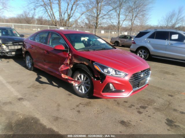 HYUNDAI SONATA 2019 5npe24af8kh802179