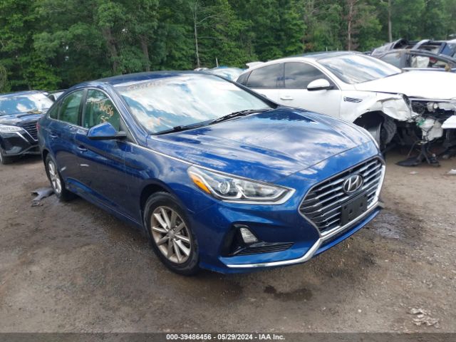 HYUNDAI SONATA 2019 5npe24af8kh802327