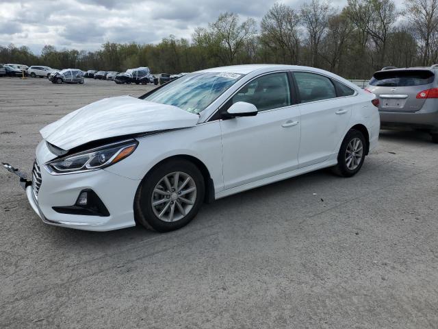 HYUNDAI SONATA 2019 5npe24af8kh804496