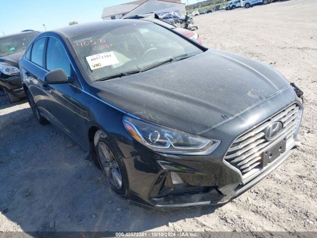 HYUNDAI SONATA 2019 5npe24af8kh811366