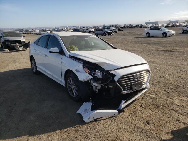 HYUNDAI SONATA SE 2019 5npe24af8kh814929