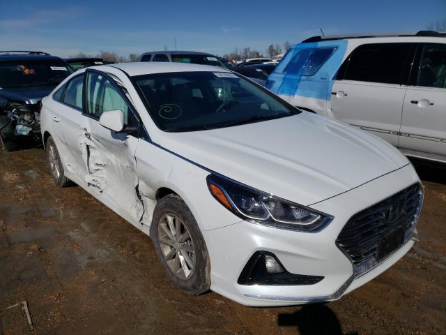 HYUNDAI SONATA SE 2019 5npe24af8kh815269