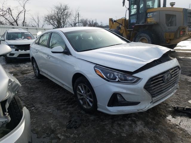 HYUNDAI SONATA SE 2019 5npe24af8kh817961