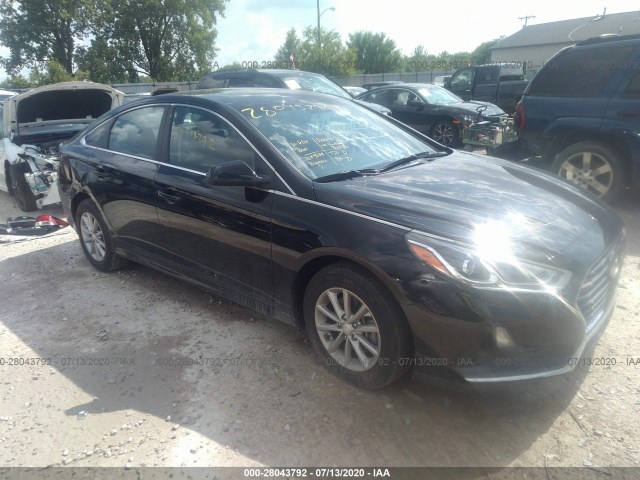 HYUNDAI SONATA 2019 5npe24af8kh819127