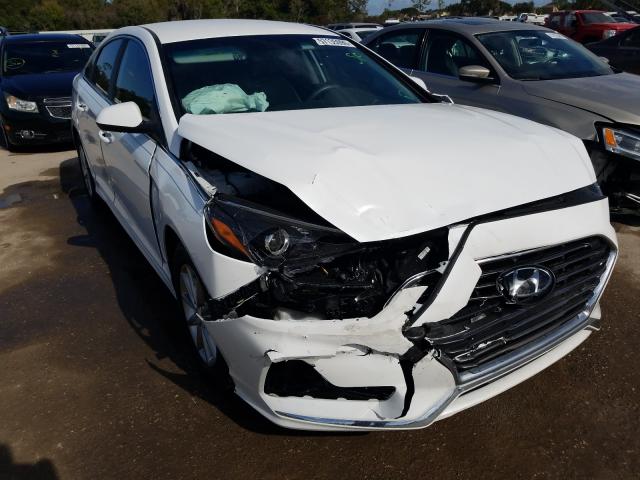 HYUNDAI SONATA SE 2019 5npe24af8kh820262