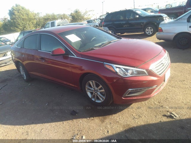 HYUNDAI SONATA 2015 5npe24af9fh002710