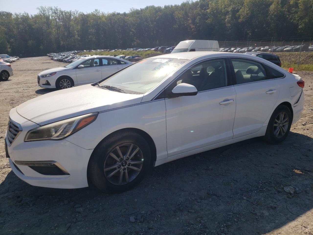 HYUNDAI SONATA 2015 5npe24af9fh003288