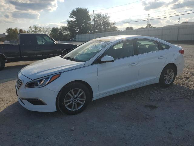 HYUNDAI SONATA 2015 5npe24af9fh003646