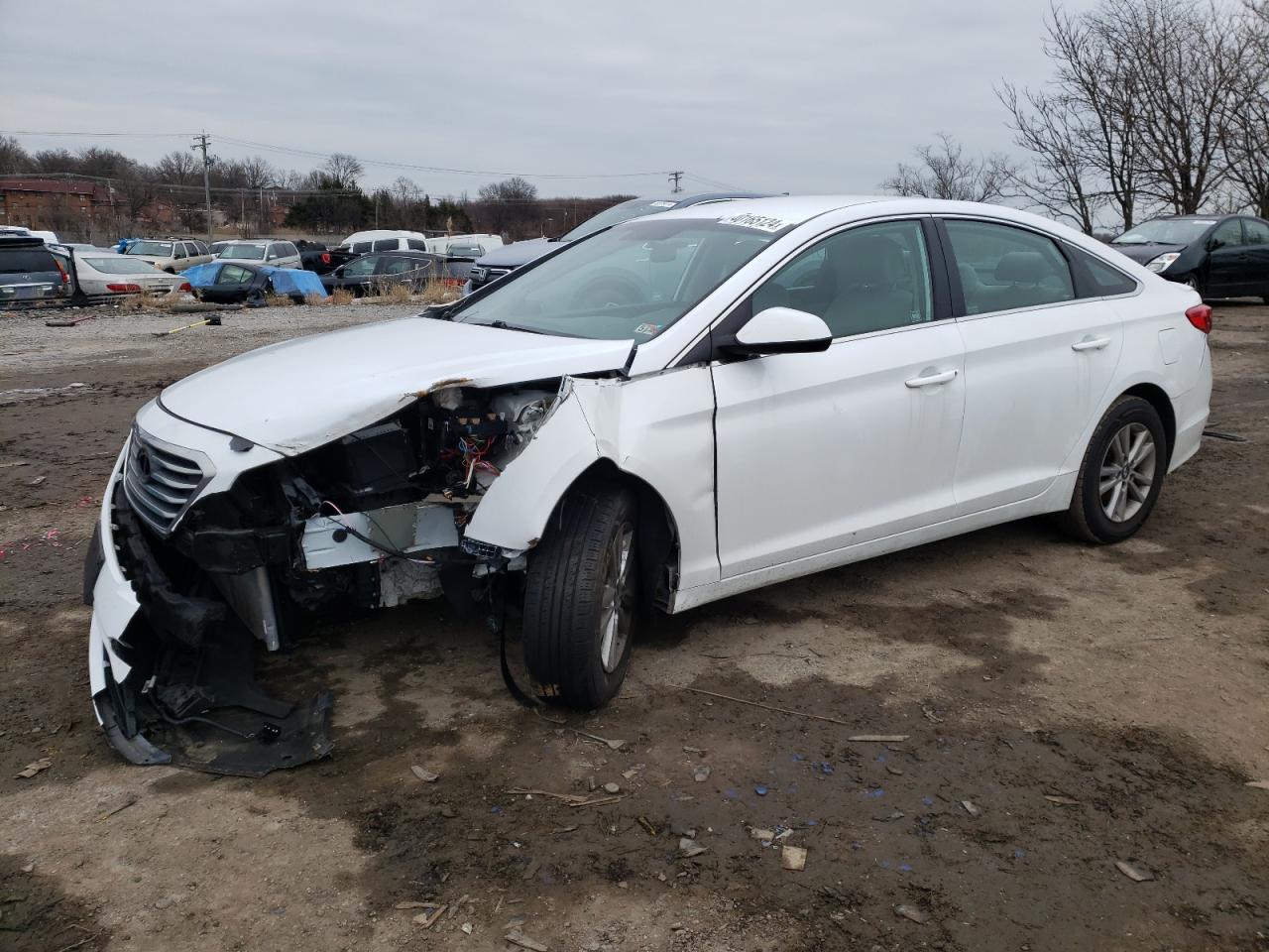 HYUNDAI SONATA 2015 5npe24af9fh018499