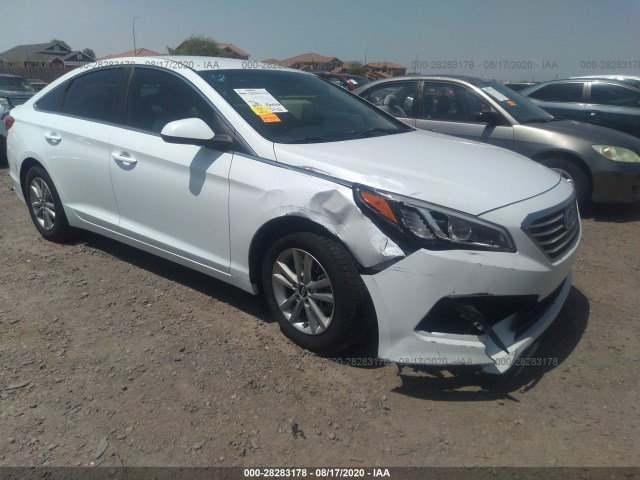 HYUNDAI SONATA 2015 5npe24af9fh020043