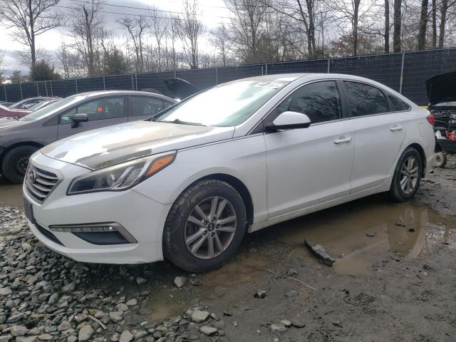 HYUNDAI SONATA 2015 5npe24af9fh022049