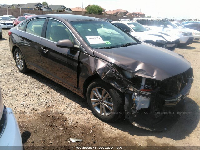 HYUNDAI SONATA 2015 5npe24af9fh024836