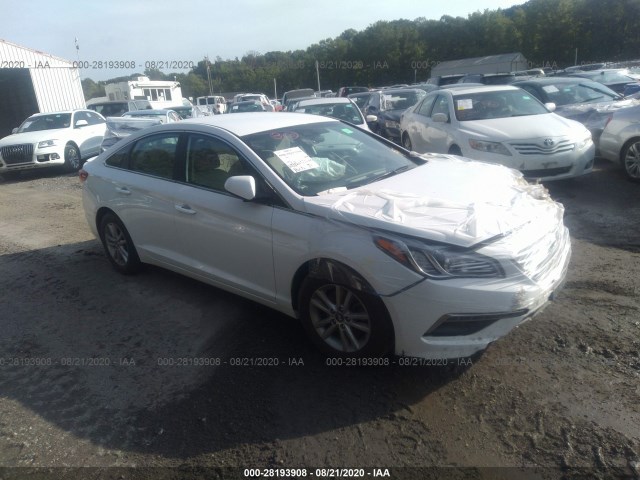 HYUNDAI SONATA 2015 5npe24af9fh030944