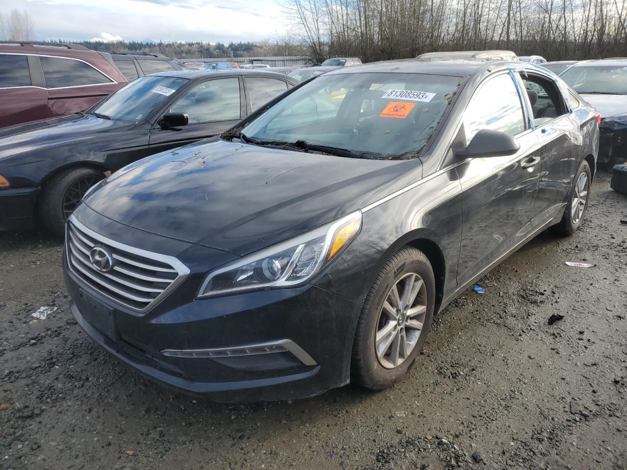 HYUNDAI SONATA 2015 5npe24af9fh040244