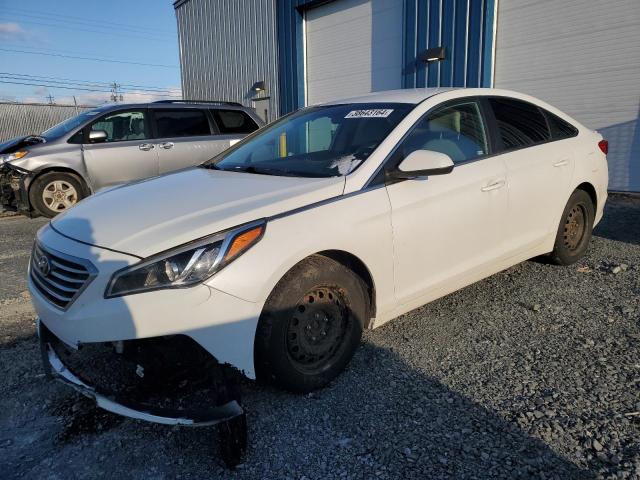 HYUNDAI SONATA 2015 5npe24af9fh050627