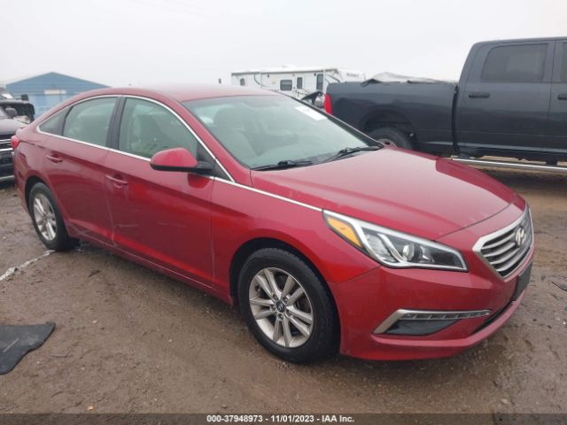 HYUNDAI SONATA 2015 5npe24af9fh094689