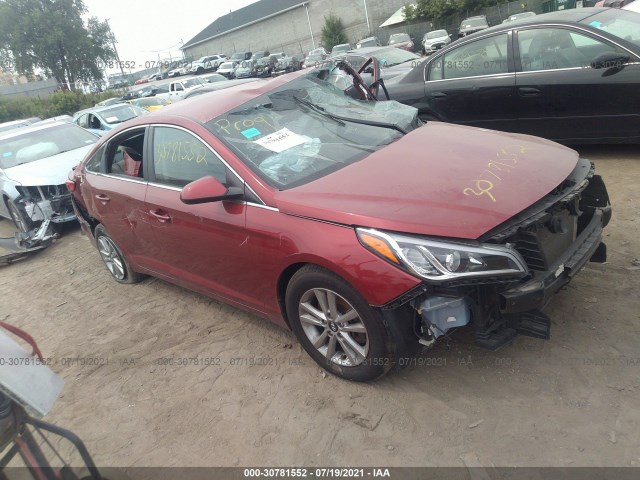 HYUNDAI SONATA 2015 5npe24af9fh118974