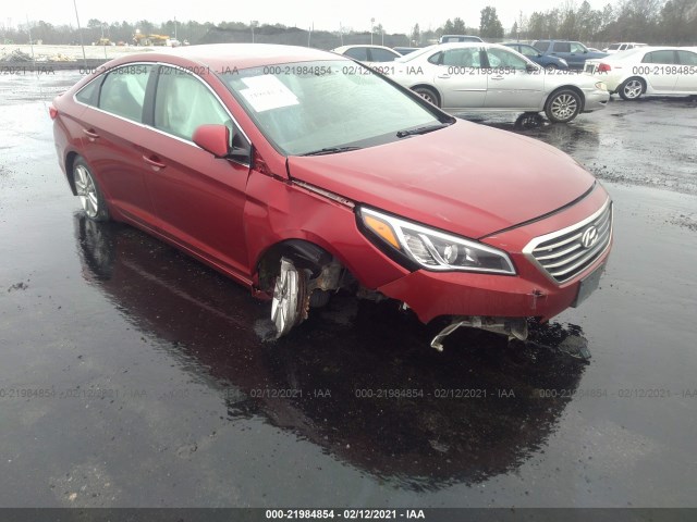 HYUNDAI SONATA 2015 5npe24af9fh121339