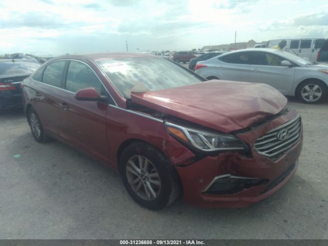 HYUNDAI SONATA 2015 5npe24af9fh129263