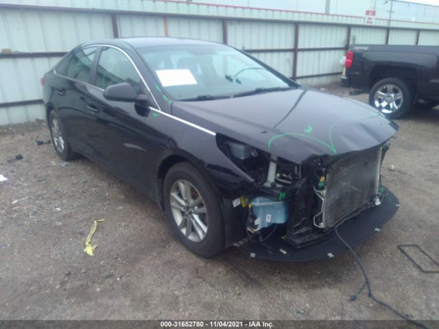 HYUNDAI SONATA 2015 5npe24af9fh149979